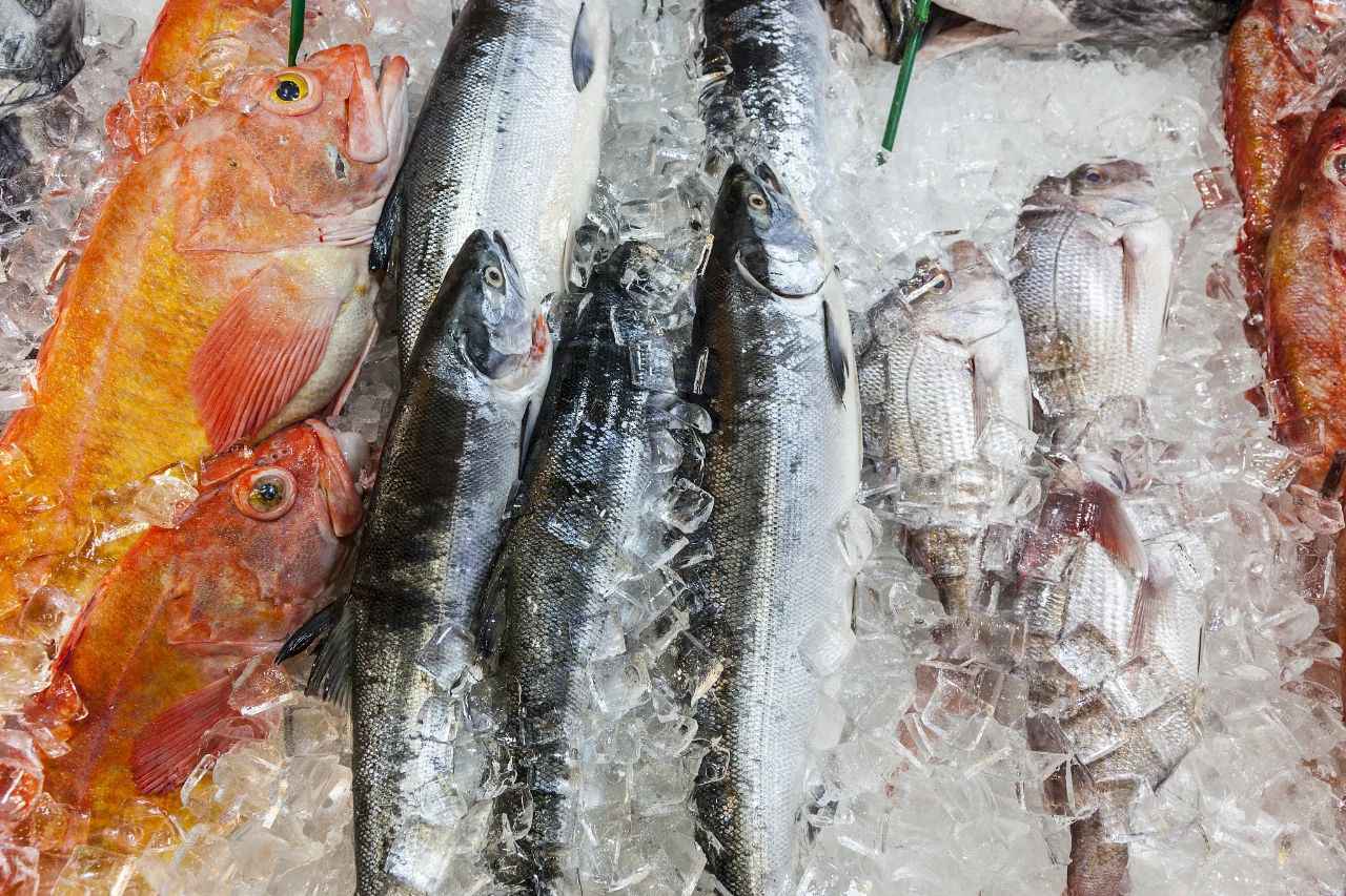 微信圖片_20201117162226.jpg 微信圖片_20201117162226.jpg