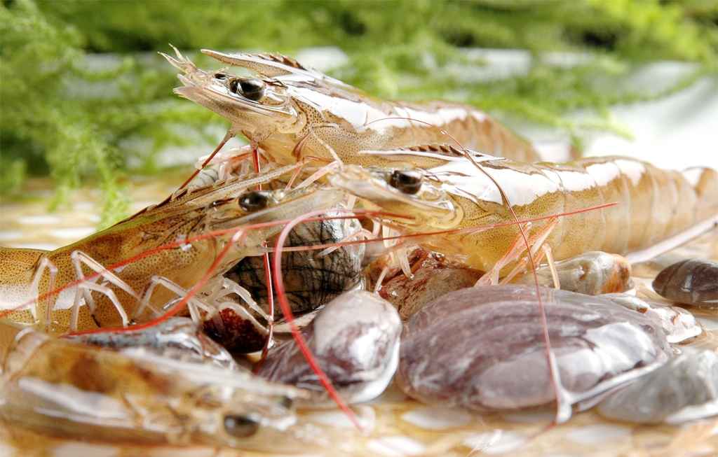 29652768_173702454038_2.jpg 29652768_173702454038_2.jpg